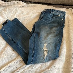 The Reade Blank NYC Classic Skinny Denim size 29